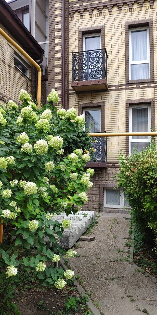 Фото Гостиницы Маликон Таганрог 220